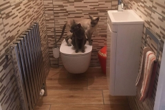 kitchen_bathroomers_024